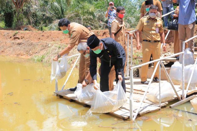 Sekda Rohul Tebarkan 10 Ribu Benih Ikan dan Tanam Pohon di Cik Dam Desa RTU
