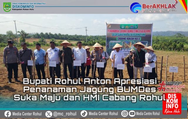Penanaman Jagung BUMDes Suka Maju dan HMI Cabang Rokan Hulu, Bupati Anton Sampaikan Apresiasi