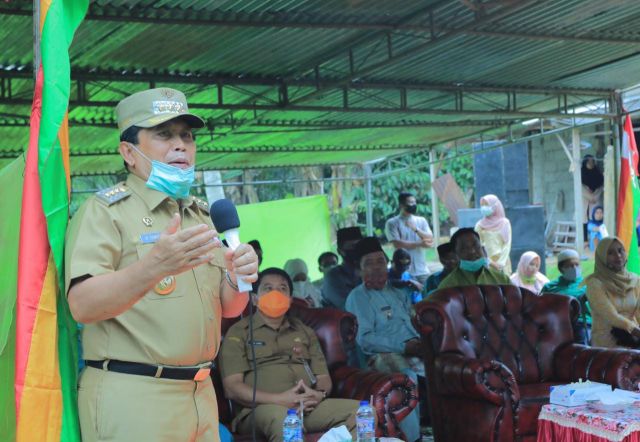 Hadiri Program Sikomandan, Sukiman : Berternak Sapi Berikan Kesejahteraan Bagi Masyarakat