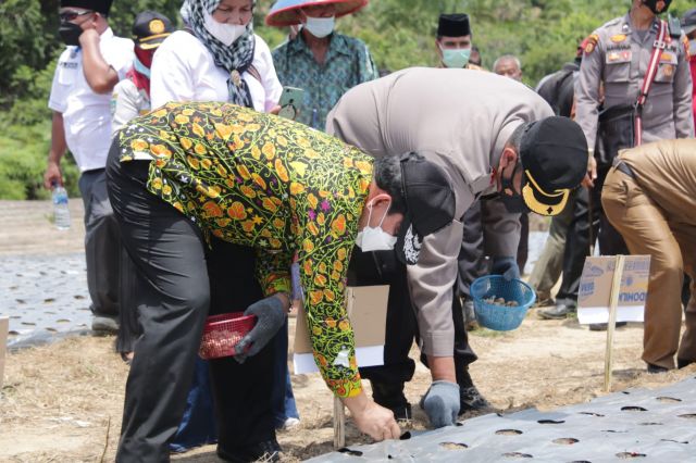 Bupati H. Sukiman tanam bawang dan serahkan bantuan peralatan dari DPR RI ke kelompok tani di Mahato