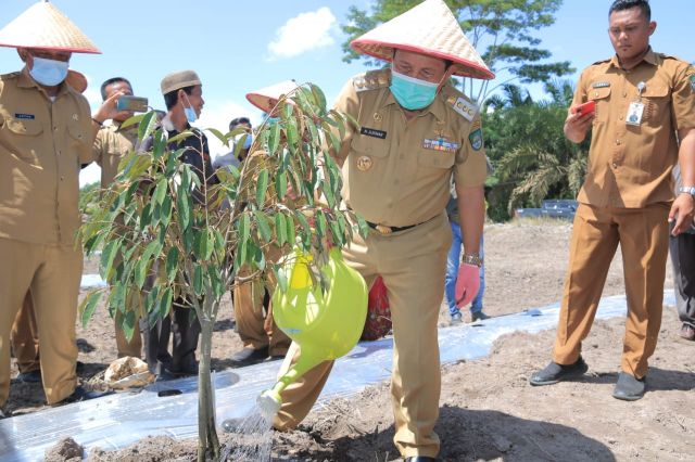 Bupati H. Sukiman Dukung Program Inovasi Desa Penanaman Semangka dan Durian Unggulan di Pasir Indah Jadi Percontohan