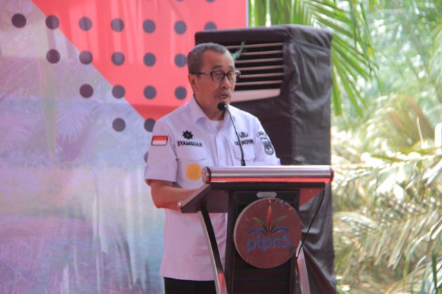 Gubernur Riau bersama Bupati Rohul Hadiri Panen perdana Sawit Plasma PTPN V KUD Makarti Jaya Tandun
