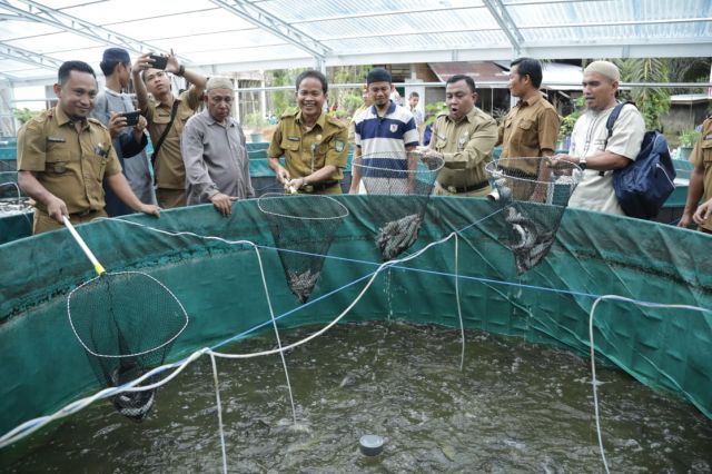 Rohul Budidayakan Ikan Lele Sistem Bioflok di Pesantren